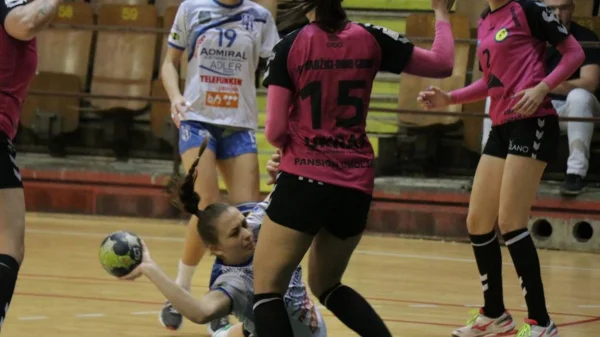 Labudice dobile, Radnik finalista, Kup BiH