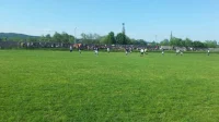 Pucao iz pištolja na fudbalskoj utakmici