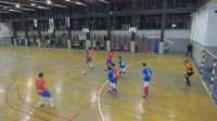 Dvomeč Nevesinja i Šampiona