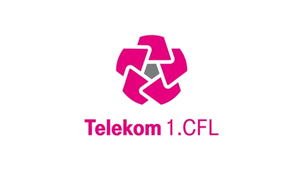 Dečić nokautirao šampiona (video), Telekom 1.CFL