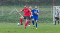 Mitar Trifković karijeru nastavlja u Austriji