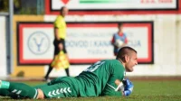 Branislav Ružić može da bira