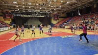 Poraz Borca od Gruda
