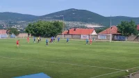 Golčina Pavla Mihića (video)