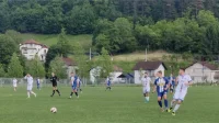Teslićani pjevajući kroz Čelinac, Druga liga  – Zapad