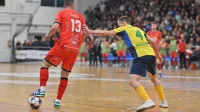 Bubamara čuva domaći teren