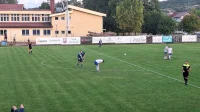 Nikola Petrović za minimalac Trnjana