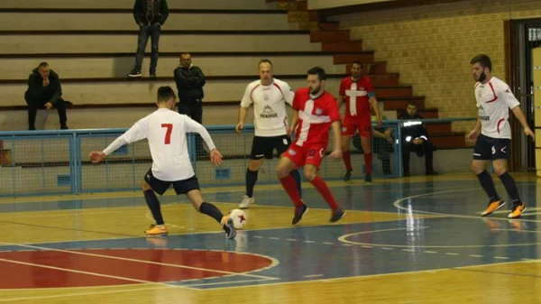 Bubamara išarala Leotar, Kup BiH